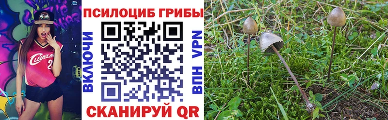Галлюциногенные грибы Psilocybe  закладки  Красноармейск 